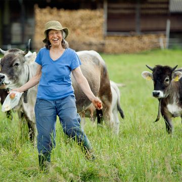 Bäuerin mit Kühen auf der Weide