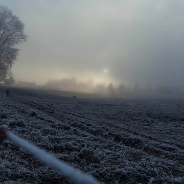 gefrohrene Landschaft