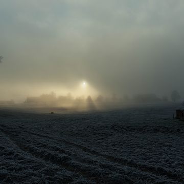 Sonnenstimmung im Nebel